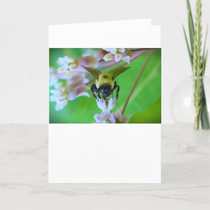 Bee, cartão