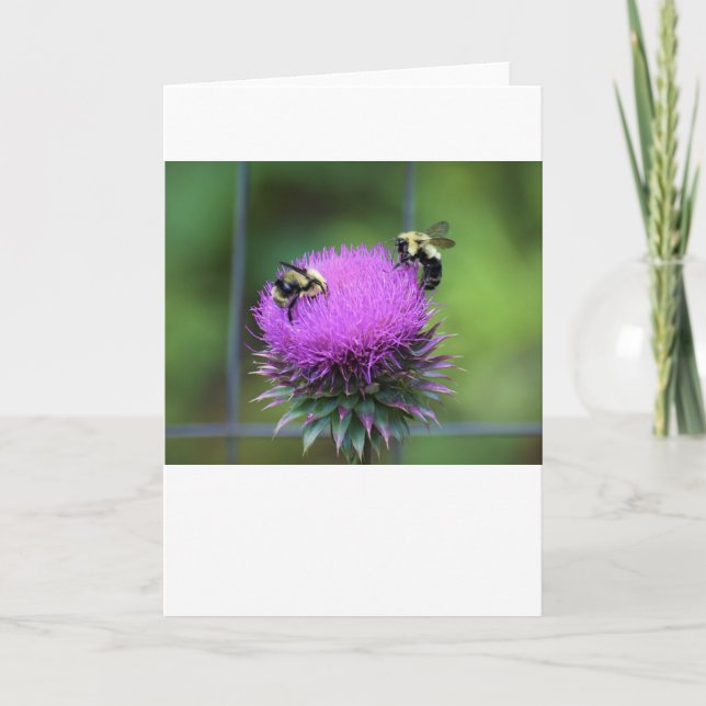 Bee, cartão (Frente)