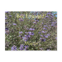 Bee Envolvido: Cartão Postal do Dia Mundial da Abe