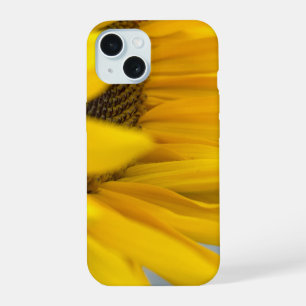 Bee Happy: A Sunflower Macro Photograph