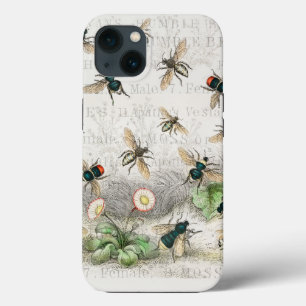Bee Honey Queen Bees Antique