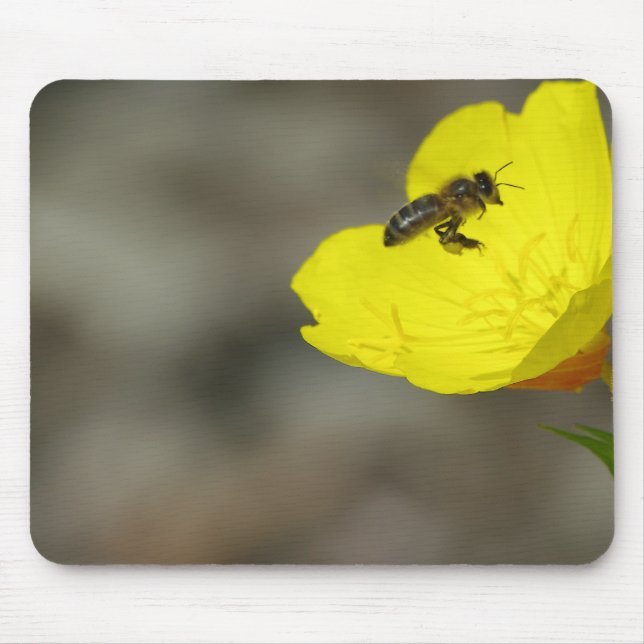 Bee Mousepad (Frente)