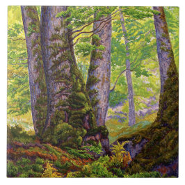 Beech Trees in the Forest (Woodland) (Paul Ranson)