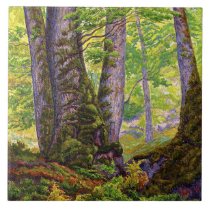 Beech Trees in the Forest (Woodland) (Paul Ranson)