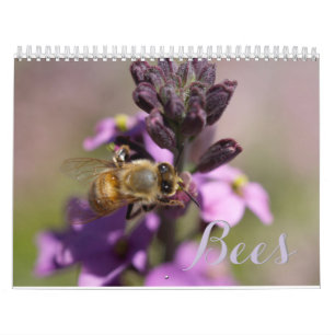 BEES MORREM CALENDÁRIOS