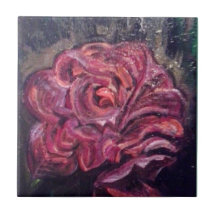 Begonia 1947 Ansel Adams Inspirado