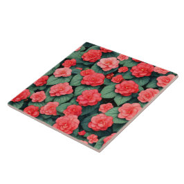 Begonia das flores cor-de-rosa