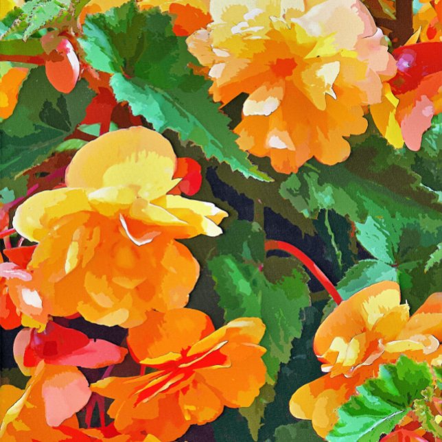 BEGONIAS (A pretty watercolor of yellow and pink begonias. )
