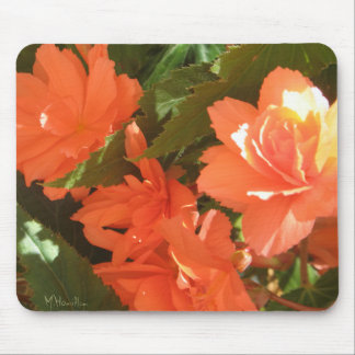 Begonias Photo Mousepad