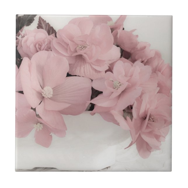 Begonias Rosa (Frente)