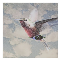 beija-flor "Entrega Especial"