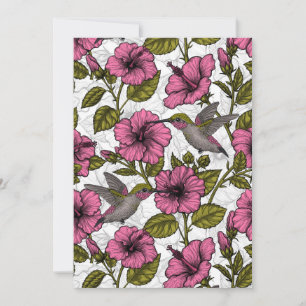 Beija-flores e flores de hibisco rosa