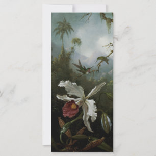 Beija-flores e Orquídea Branca por Martin J. Heade