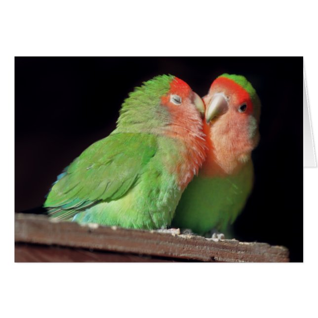 Beije-me cartão (Frente Horizontal)