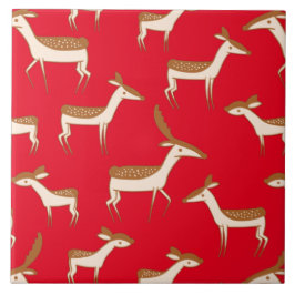 Beijo e família lindos