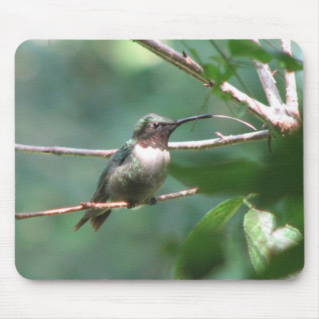 Beijo Mousepad de Hummer (Frente)