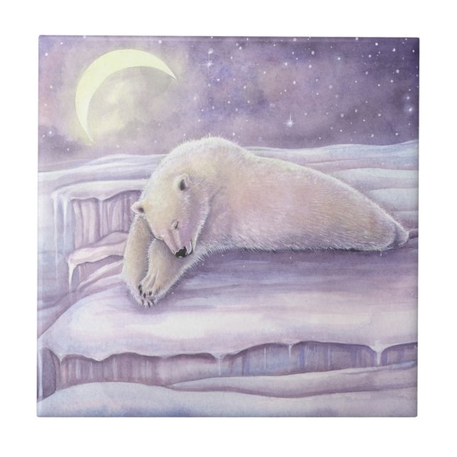Bela Arte de Urso Polar Adormecido e Aconchegante (Frente)