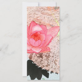 bela arte fotográfica de flor de nenúfar rosa