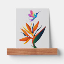 Bela ave de flor do paraíso