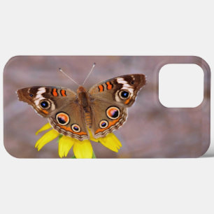 Bela borboleta na Flor Amarela
