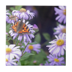 Bela Borboleta Nas Flores