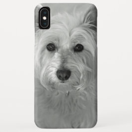 Bela capas de iphone de Cachorro Westie