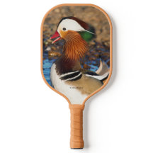 Bela Chatty, Pato Mandarim no Pond