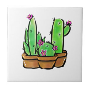 Bela festa Cactus cactos suculentas