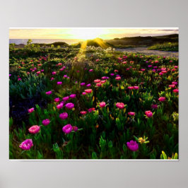 Bela flor selvagem poster