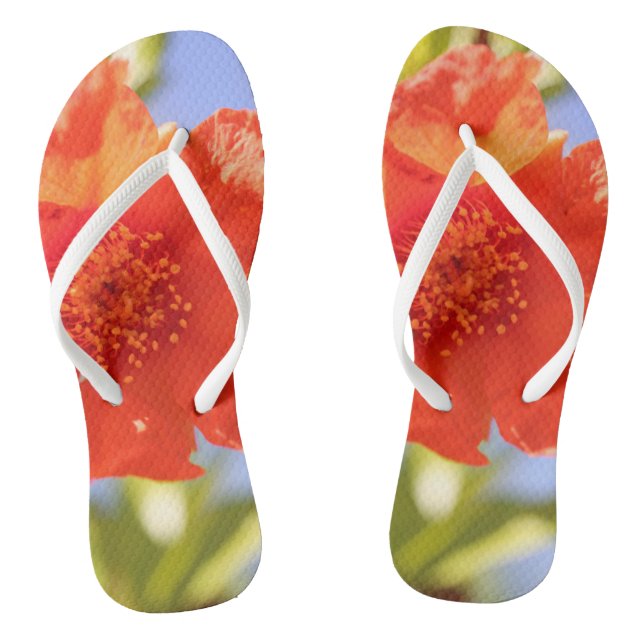 Bela Flor Vermelha Sapato Pé de Chinelo Céu Azul (Pé da cama)