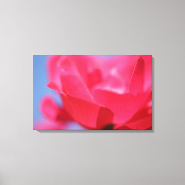 Bela Impressão em Tela de Flor de Rosa Rosa (Frente)