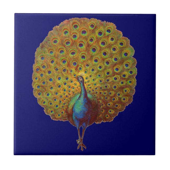  bela impressão vitoriana de pavão (Frente)