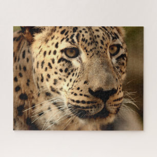 Bela Leopard Retrato, Quebra-cabeça de Jigsaw