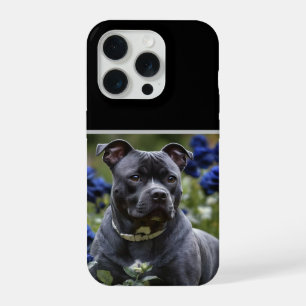 "Bela Listra Azul: Um Staffy Com Rosas Azuis