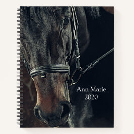 Bela Notebook de Cavalo