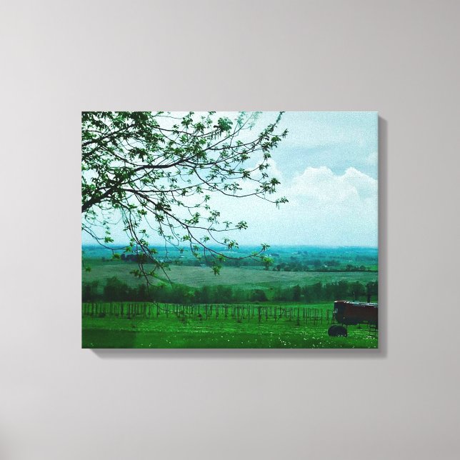 Bela paisagem agrícola Canvas fotográfica (Frente)