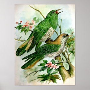 bela pintura de poster vintage 27