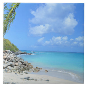 Bela Praia Tropical Turquesa