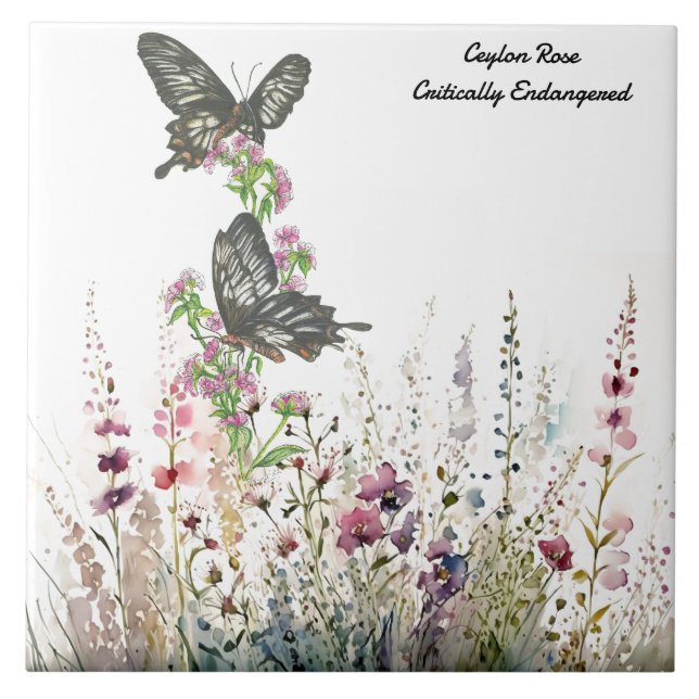 Bela Rosa de Ceilão pintada à mão (Frente)