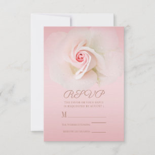 Bela Rosa Molhada Rosa Suave Elegante RSVP de Casa