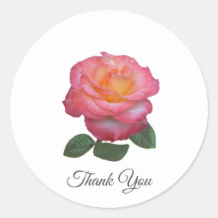 Bela Rosa Rosa Obrigado Clássico Adesivo Redondo