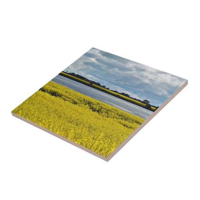 Bela Streatham Dramática (Lateral)