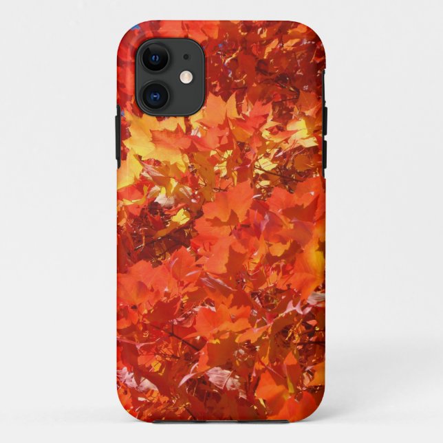 Belas capas de iPhone com Folhas de Outono present (Verso)