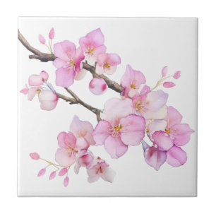 Belas flores de cerejeira em aquarela rosa