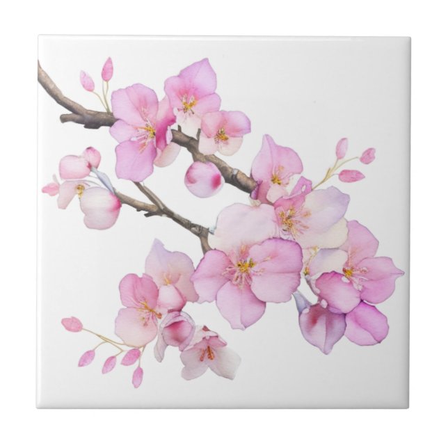 Belas flores de cerejeira em aquarela rosa (Frente)