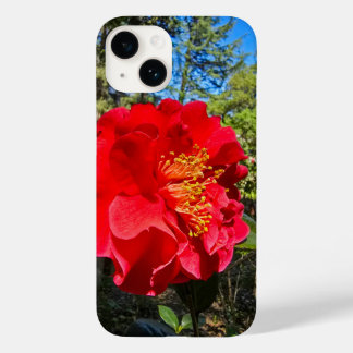 belas flores vermelhas da Camellia nos Jardins Des