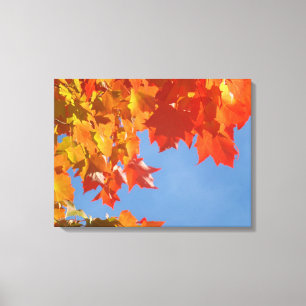 Belas folhas de outono Impressões em tela Arte da