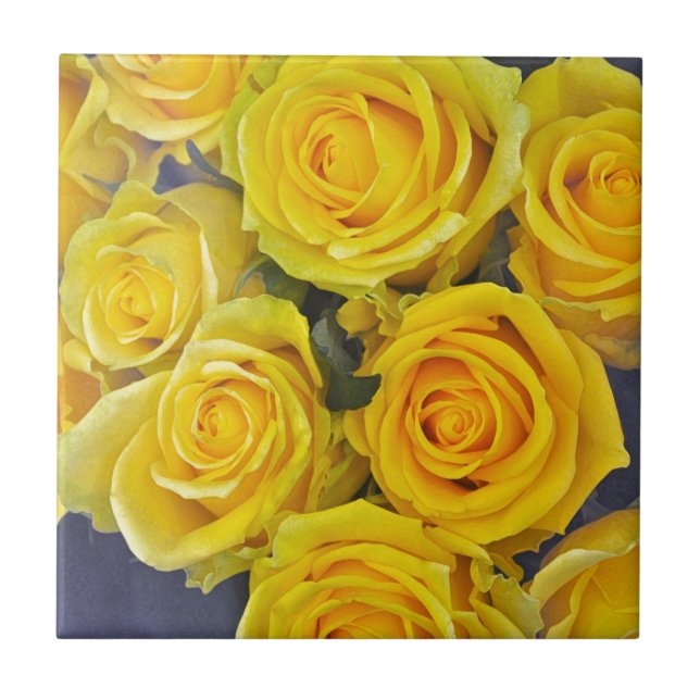 Belas rosas amarelas (Frente)
