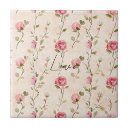 Belas Rosas Rosa Creme Florais Chuveiro de Noiva