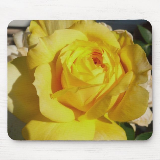 Beleza amarela Mousepad cor-de-rosa (Frente)